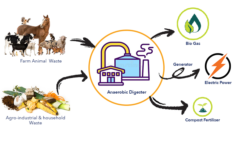 Biogas production