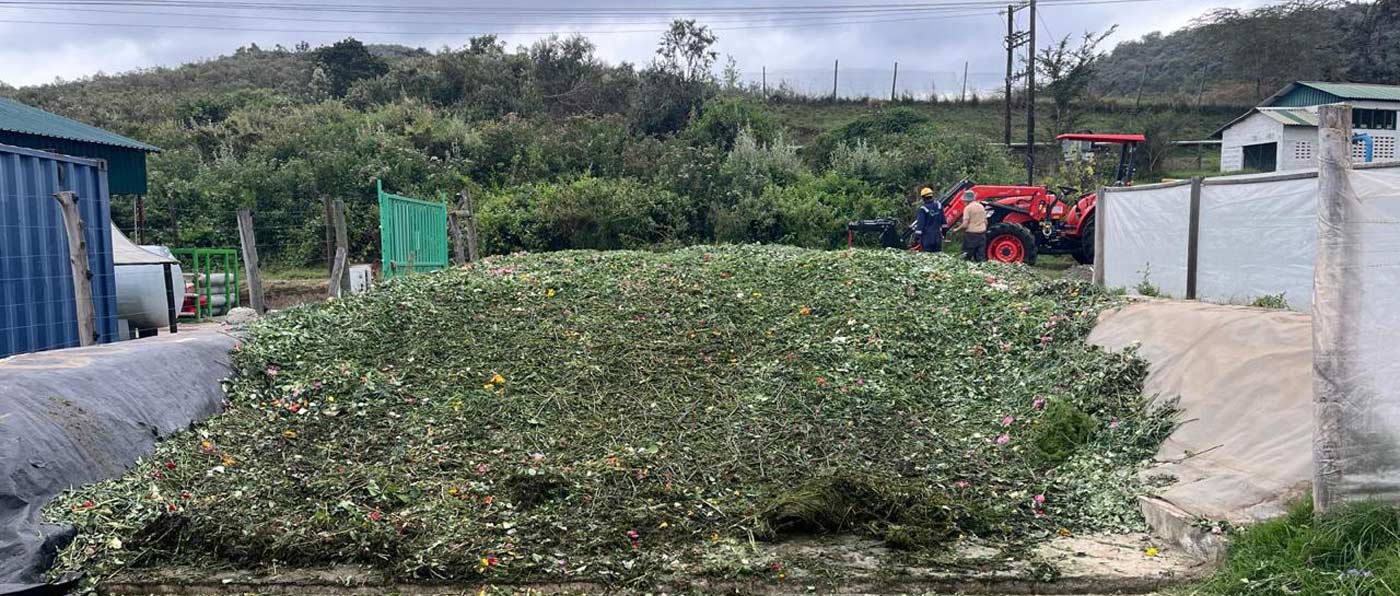 Anaerobic Digestion Consultancy